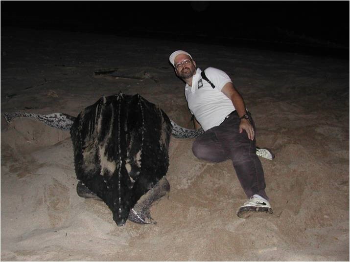 Frank Paladino with leatherback turtle